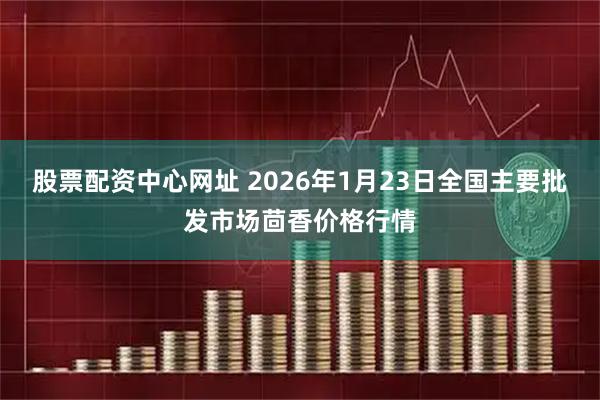 股票配资中心网址 2026年1月23日全国主要批发市场茴香价格行情